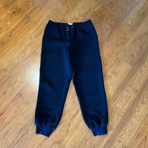 Aritzia Wilfred Joggers